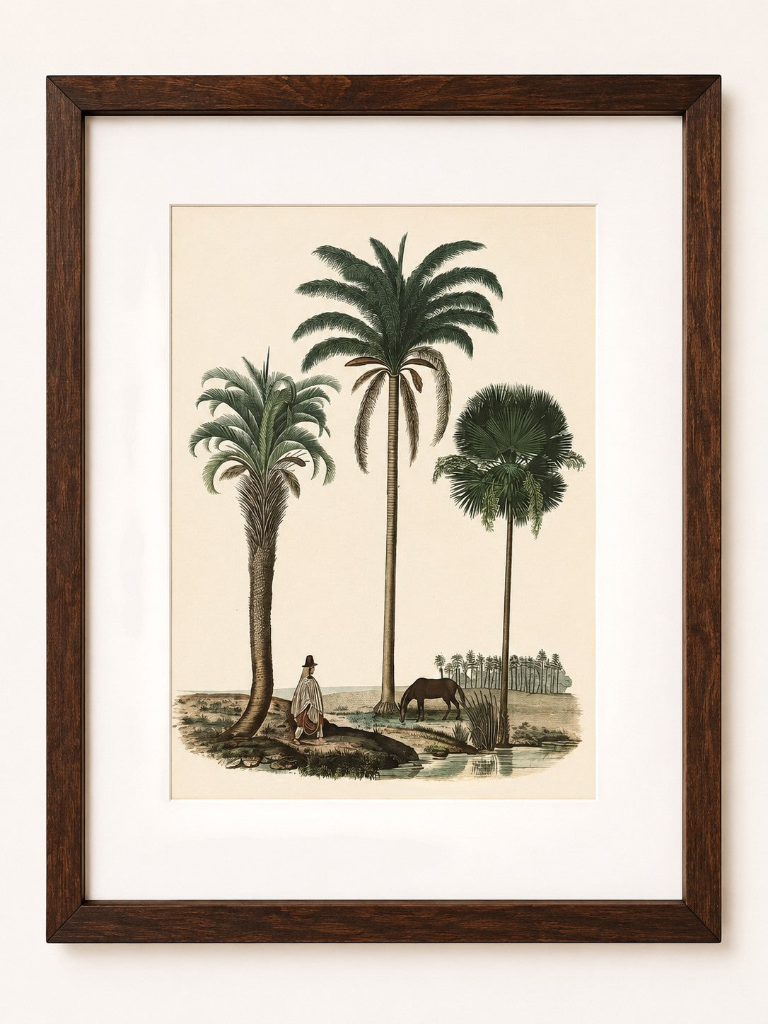 The House of Saffron Le Jardin des Palmes botanical print featuring palm trees in a dark wooden frame with glass.